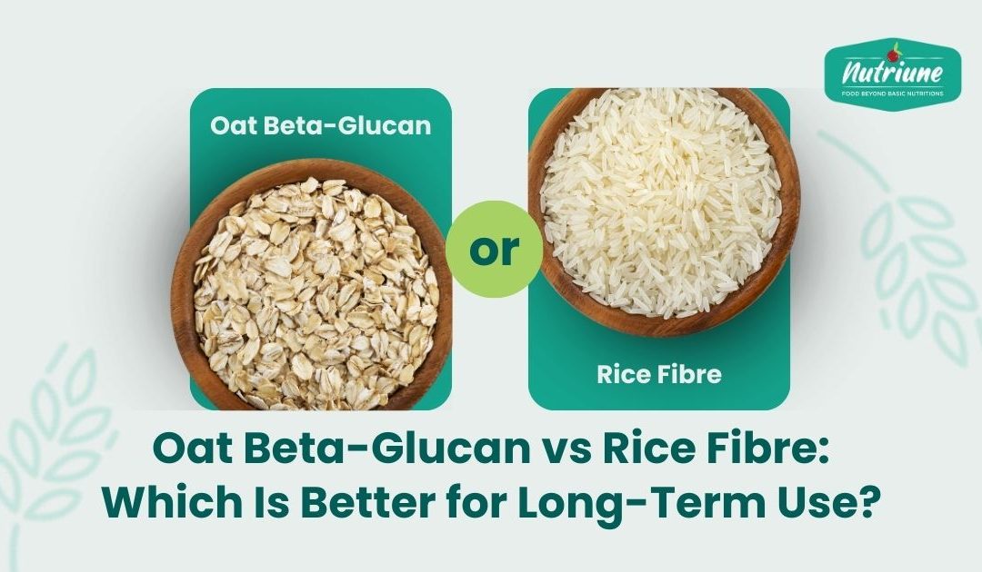 Oat Beta-Glucan vs Rice Fibre: Which Is Better for Long-Term Use?