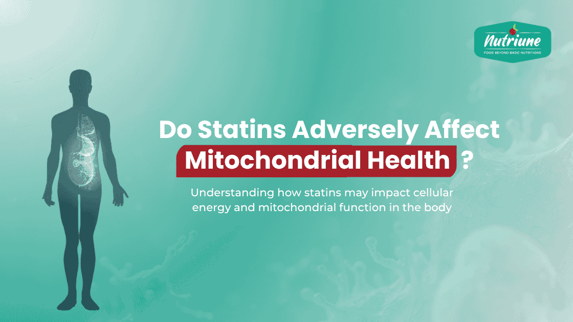 how statins affect mitochondria and energy production
